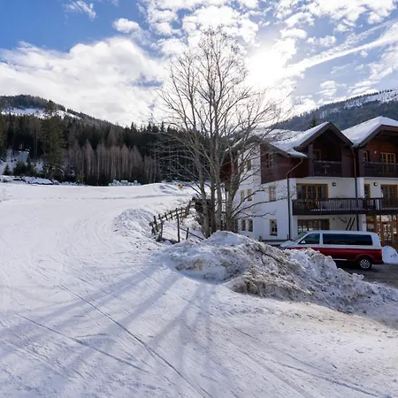 Maibrunnalm 4 In & Out 公寓 *